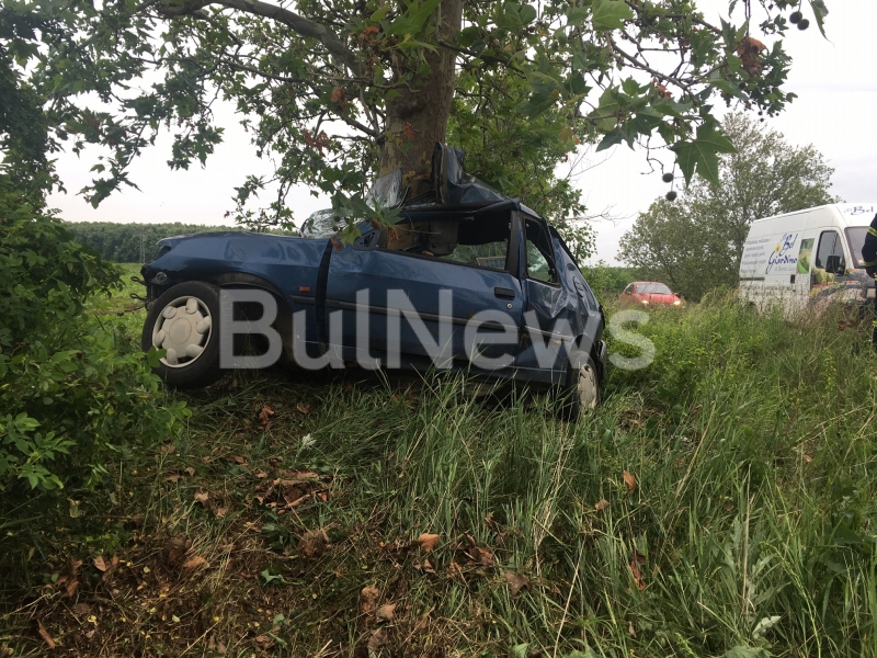 Кола се разцепи при зловещ удар в дърво край Враца, има загинал (СНИМКИ)