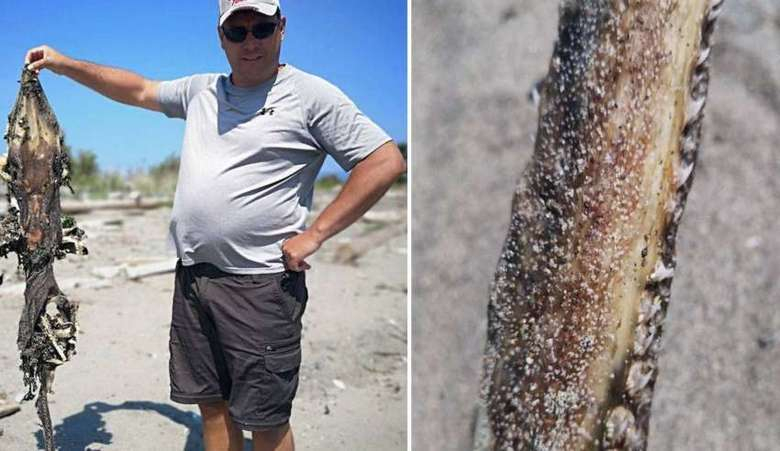Рибар се натъкна на загадъчно чудовище край бреговете на Британска Колумбия (СНИМКИ)