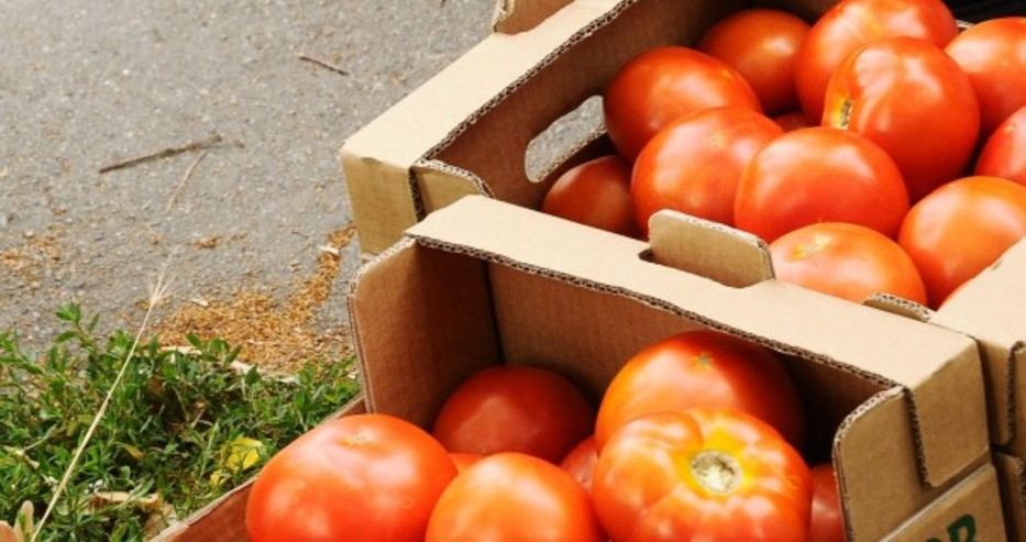 Гръцки домати по 10 ст. заливат пазара у нас, а ги продават за три!