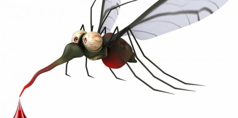 Кои са причините, за да привличате комарите
