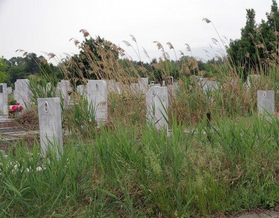 Зловещо! Кървава вода бликна до гробище край Видин
