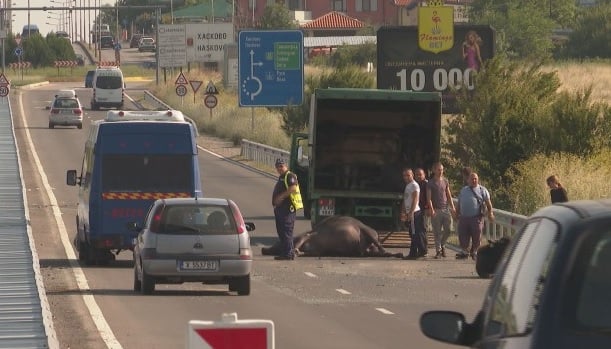 Трагедията е голяма! Появиха се първи версии за кървавата нощ в Хасковско (СНИМКИ)