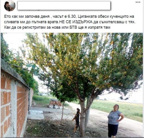Циганка от Раковски обеси кученцето си пред вратата на съседка (СНИМКИ 18+)