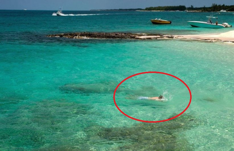 Три акули изядоха момиче пред безпомощните й родители (СНИМКИ)