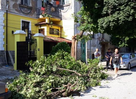 Бурята нанесе големи поразии в Пловдив (СНИМКИ)