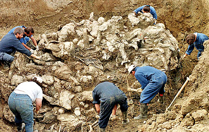 Съветът на Европа ще отбележи за първи път геноцида в Сребреница