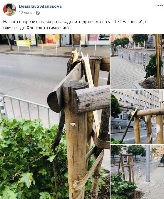 Нежното острие на ГЕРБ се разгневи на тази простащина в София (СНИМКИ/ВИДЕО)