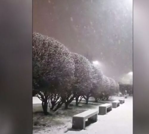 Сняг заваля в най-южния град на планетата, известен като "края на света" ВИДЕО