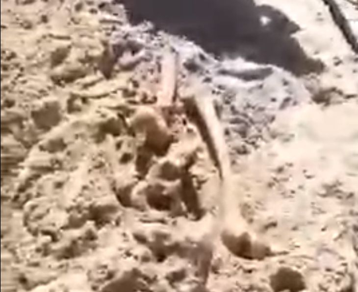 Зловещо! Деца откриха човешки кости на плажа в Китен (ВИДЕО)