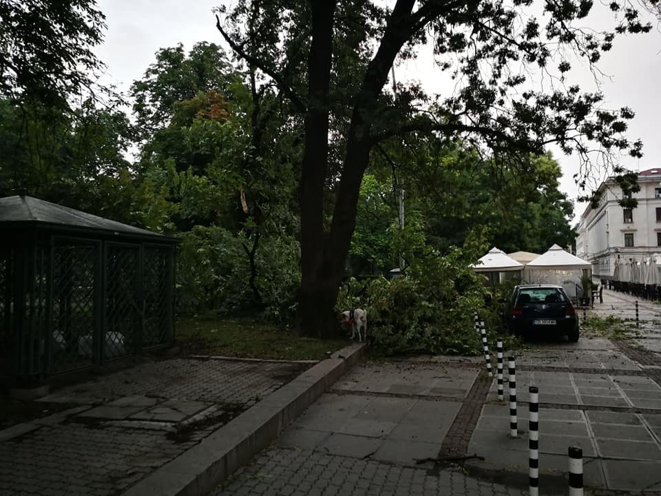 Страшна гледка в центъра на София след снощния погром ВИДЕО