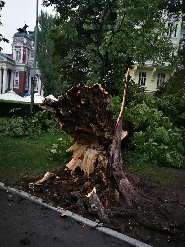 Страшна гледка в центъра на София след снощния погром ВИДЕО