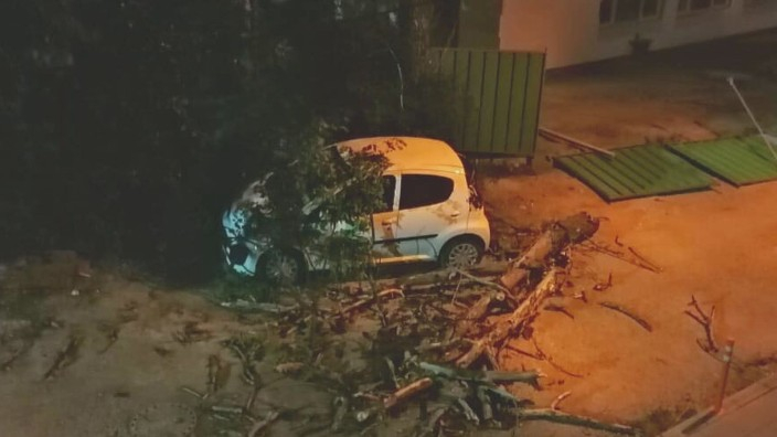 Ужас в София: Дърво за малко да смачка хора, на колата им не се размина 