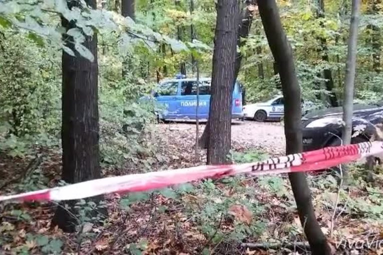 Нелепа смърт застигна мъж край Гоце Делчев