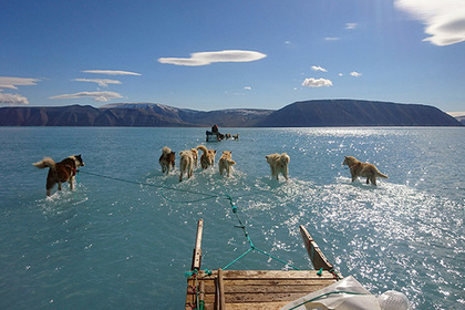 Учените установиха нещо катастрофално, което се е случило в Гренландия