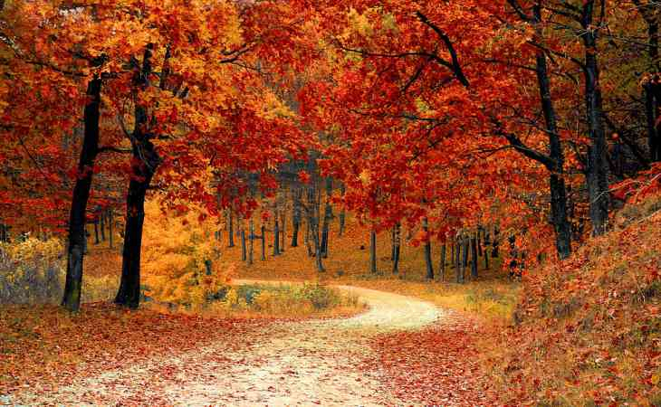 Павел Глоба: 4 зодии ще се радват на неимоверен късмет тази есен