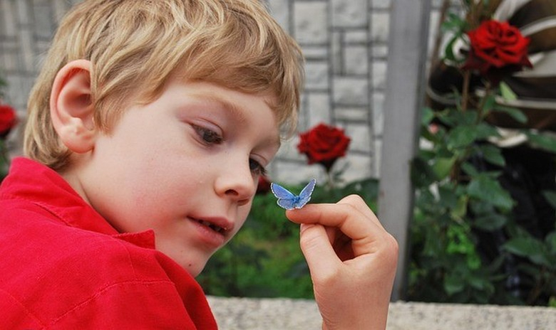 Починало момче праща чрез пеперуди послания на сестра си 