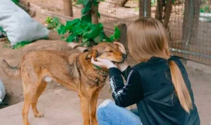 Ученичка даде бащината си издръжка в приют за бездомни животни