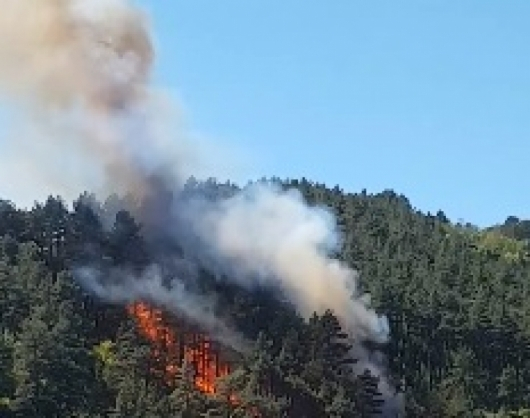 Гъсти облаци дим покриха Дупница, огънят пълзи към близките къщи 