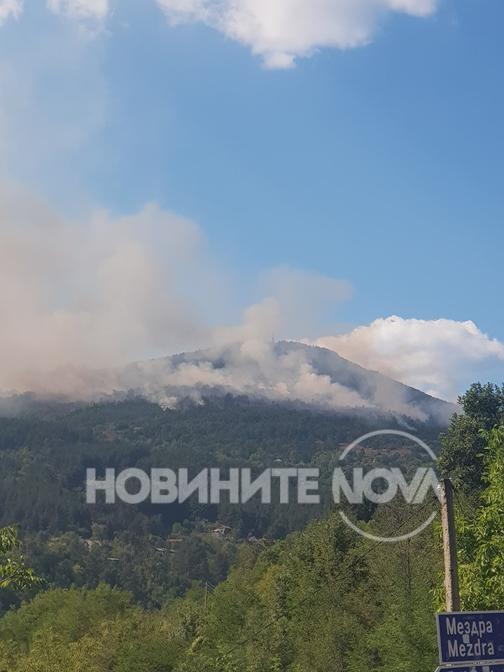 Огнен кошмар край София, пламна гората СНИМКИ