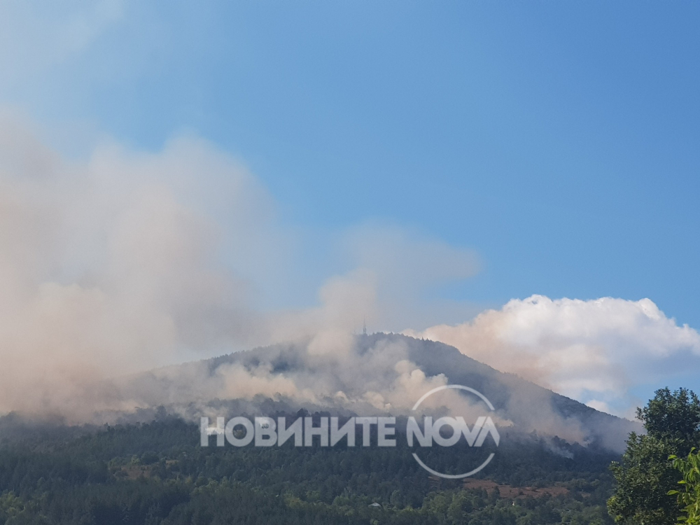 Огнен кошмар край София, пламна гората СНИМКИ