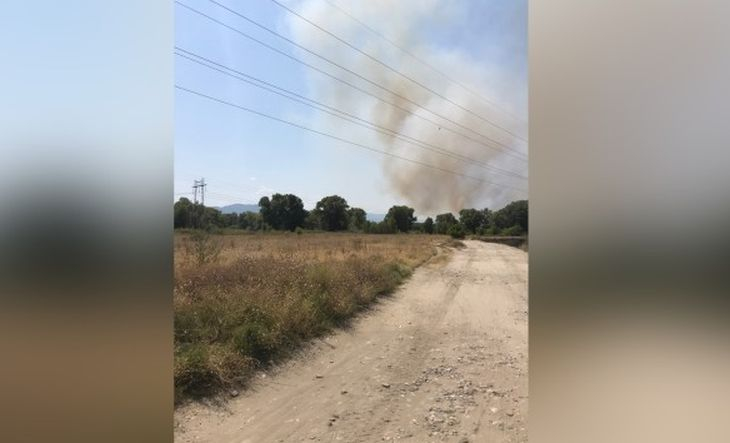 Горски пожар в района на двореца в Кричим