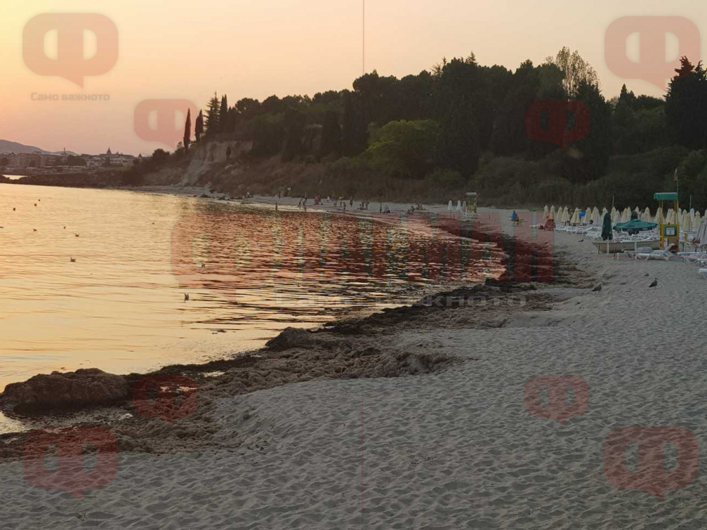 Гнусна миризма на гнилоч поваля туристи на плаж в Несебър