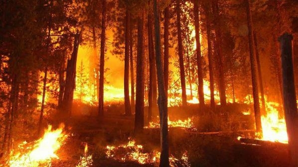 Огнен ад в гората от филма "Дяволското гърло"
