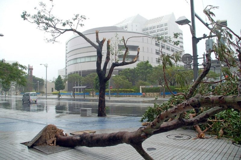 Мощен тайфун връхлетя района на Токио тази нощ! ВИДЕО