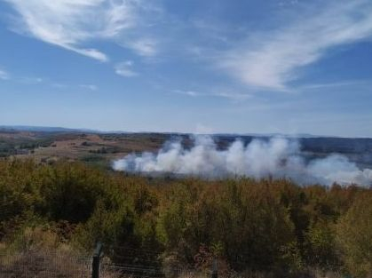 Стрелби запалиха военен полигон край Беляковец СНИМКИ