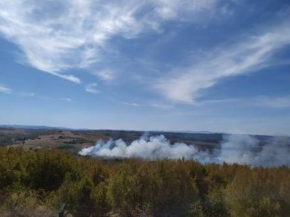 Стрелби запалиха военен полигон край Беляковец СНИМКИ