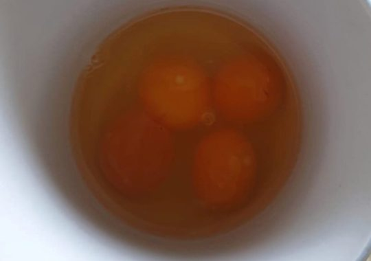 Откриха уникално яйце с четири жълтъка СНИМКИ