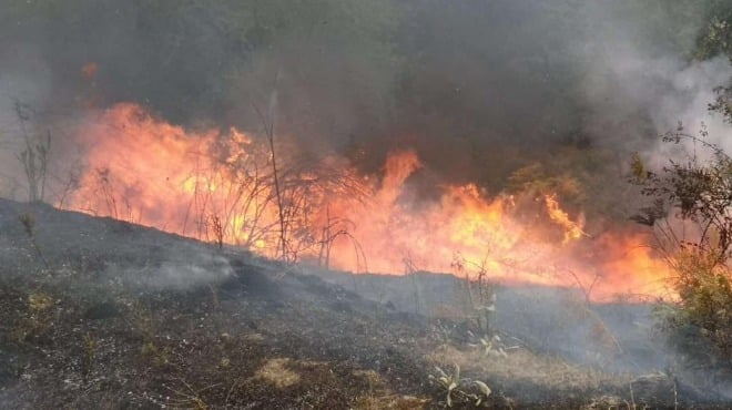 Огнен ад: Пожарни летят край Казанлък