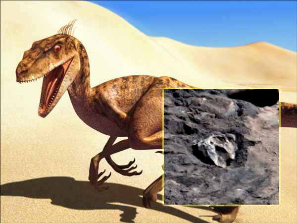 Знаменит уфолог: Видях череп на рептил на Марс