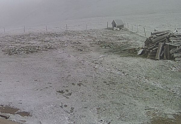 Синоптичка: Първи сняг заваля в България, температурите падат до критичните...