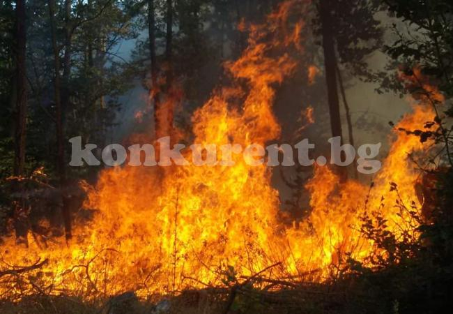 Шести ден огнен ад в Белоградчишко СНИМКИ