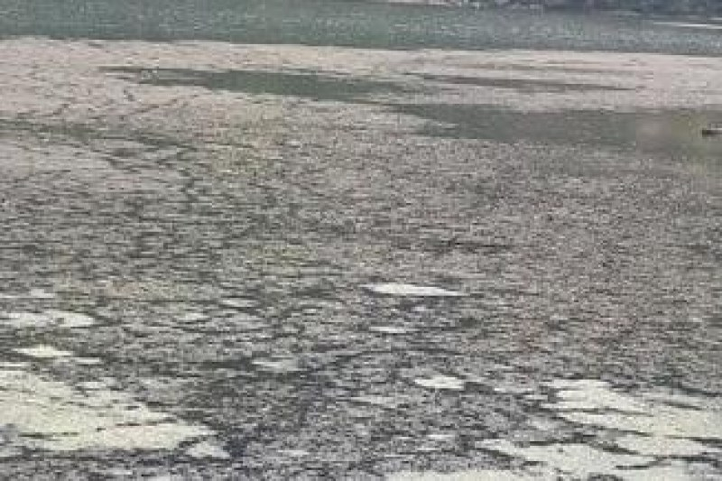 Нещо потресаващо се случва с езерото Панчарево СНИМКИ