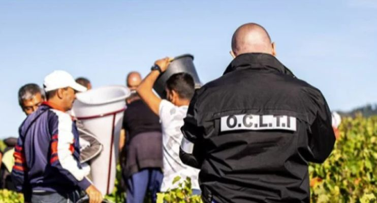 Скандални новини за нашите гурбетчии, заробени от лозари във Франция 