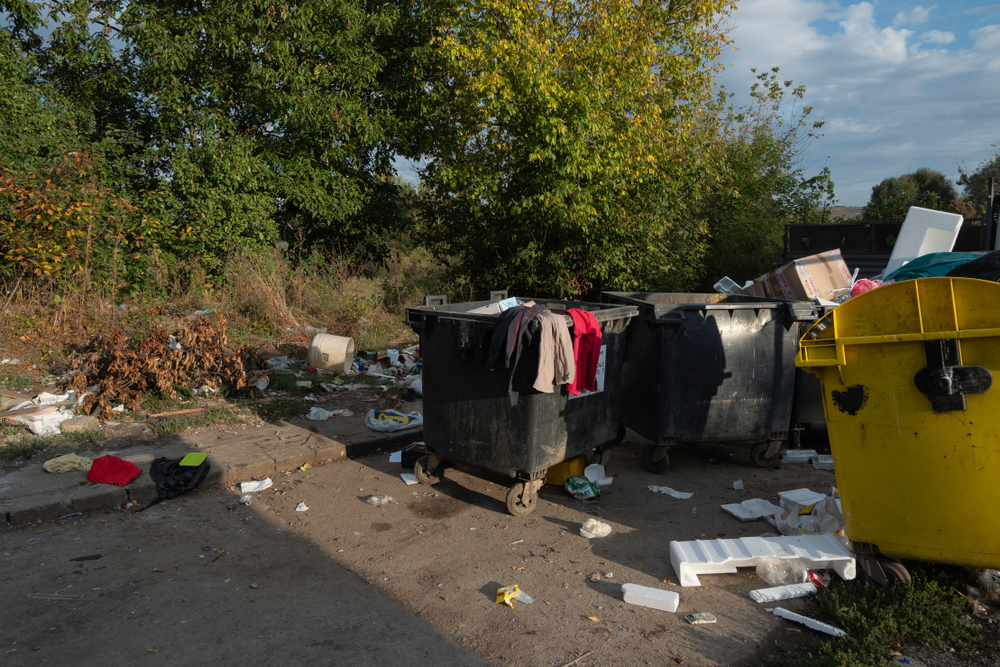 Би Би Си: Румъния - кофата за боклук на Европа
