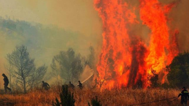 Голям пожар гори на изхода на Пловдив СНИМКИ