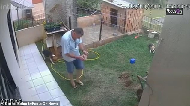 Не правете това у дома! Бразилец взриви двора си, за да се отърве от... ВИДЕО 