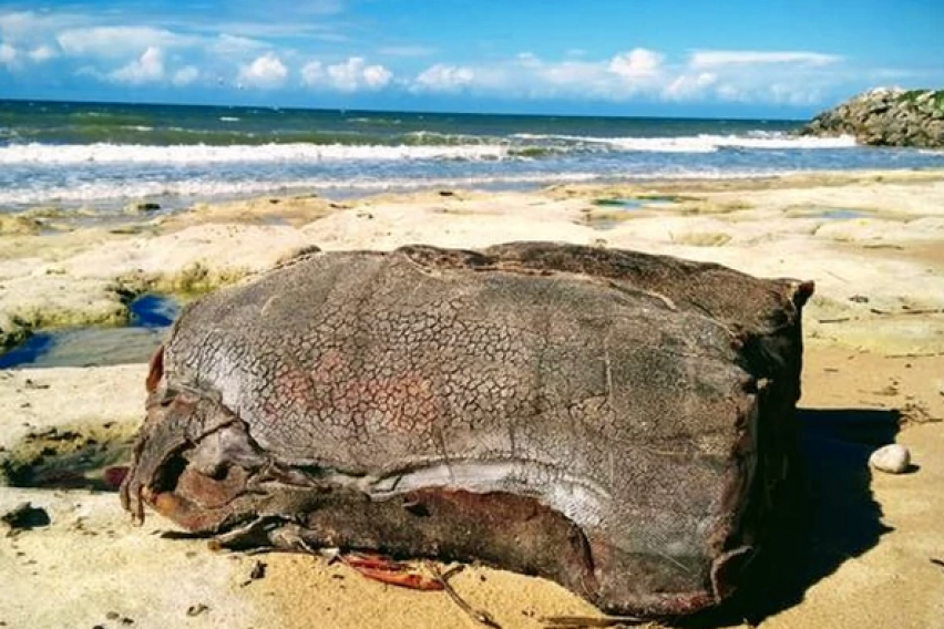 На тези плажове от години морето изхвърля странни сандъци, тежащи 100 кг, а мистерията откъде идват остава