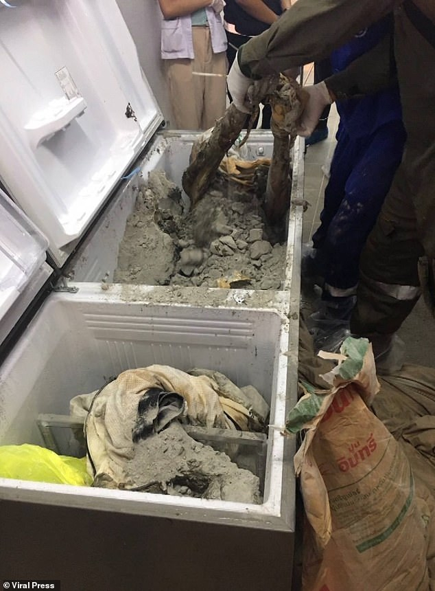 Откриха трупа на убита милионерка, залят с бетон във фризер СНИМКИ 18+