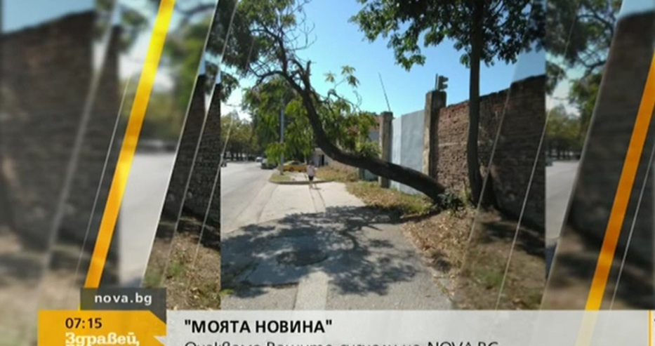 Всеки момент на тази улица в Пловдив може да загине минувач! СНИМКИ