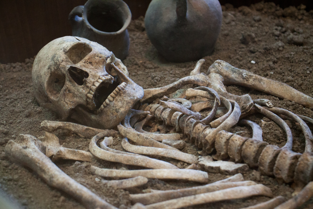 Зловеща находка: Откриха приковани за ковчег скелети с камък между зъбите