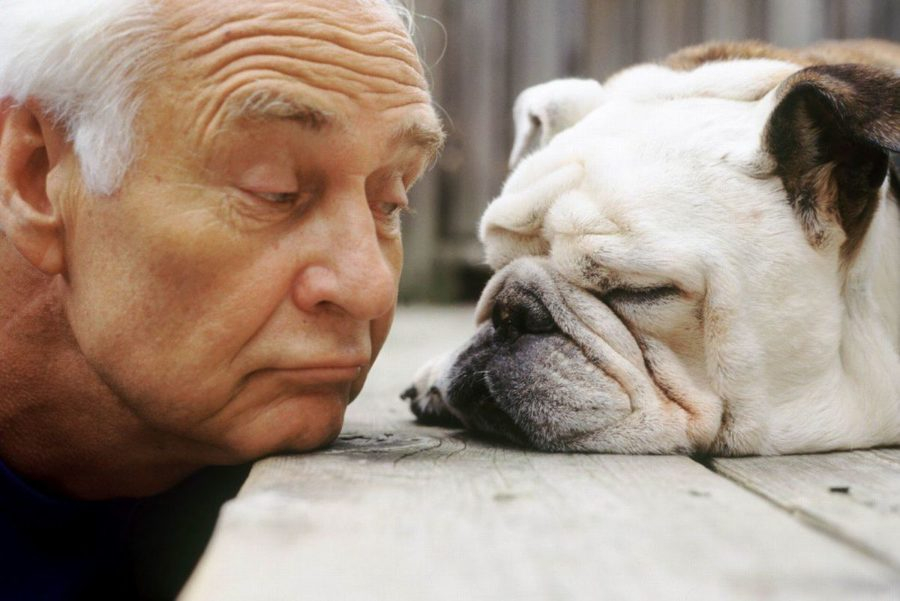 Тайната падна: Учените показаха формулата за смятане на човешките години в кучешки