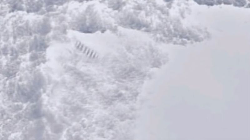 Загадъчни ледени стълбове в Антарктида озадачиха учените ВИДЕО 