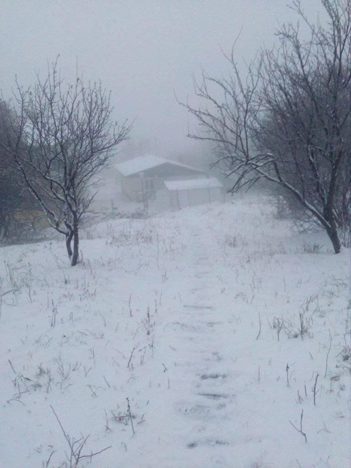 Снежна буря от Румъния удря България до часове СНИМКИ