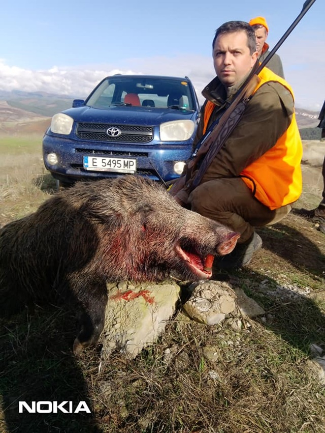 Авджия гътна огромен звяр в местността "Димана" СНИМКИ