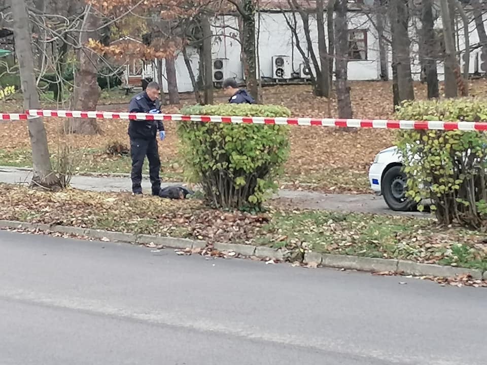 Зловещи данни за новото убийство в Борисовата градина! Първи СНИМКИ