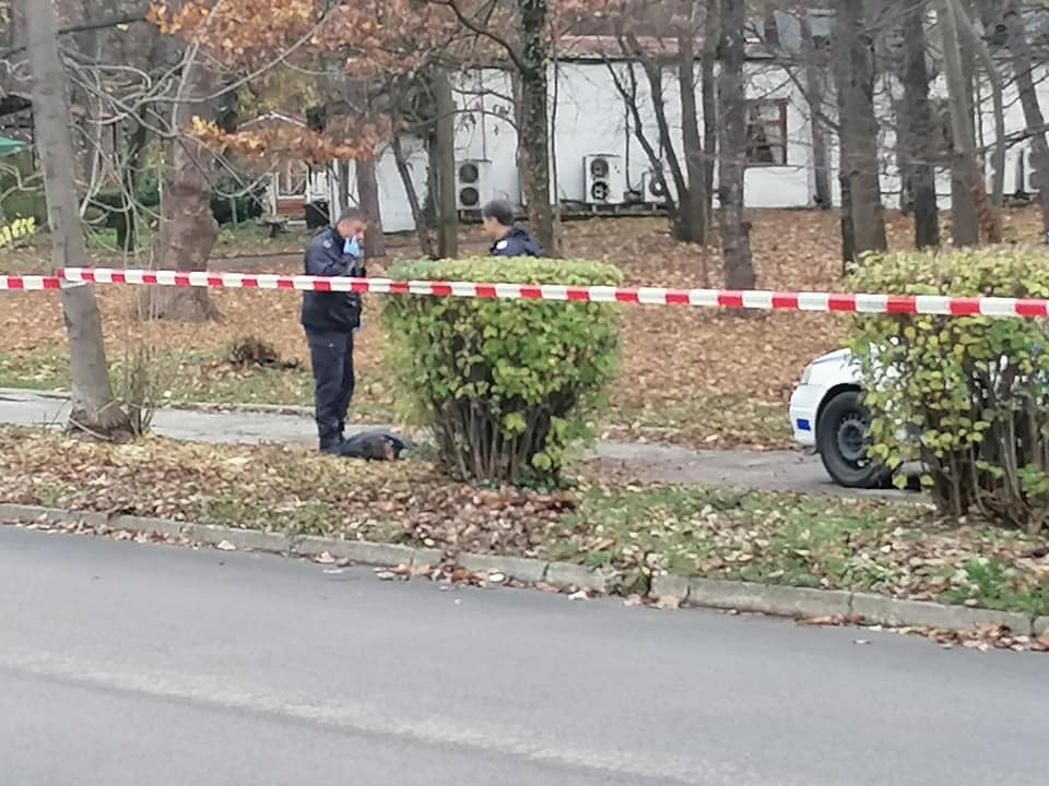 Зловещи данни за новото убийство в Борисовата градина! Първи СНИМКИ